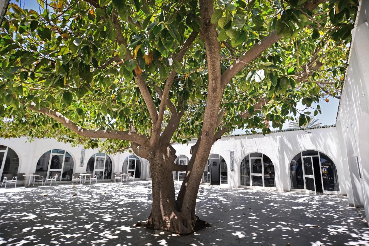 Palmyra Club Nabeul Hotell Eksteriør bilde